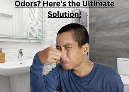Best Urinal cubes 2025