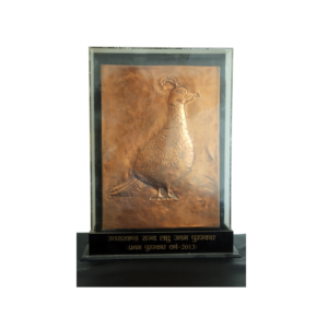 Pratham Puraskar Varsh 2013 Satya Dev Industries